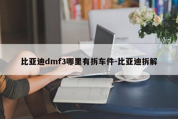 比亞迪dmf3哪里有拆車件-比亞迪拆解