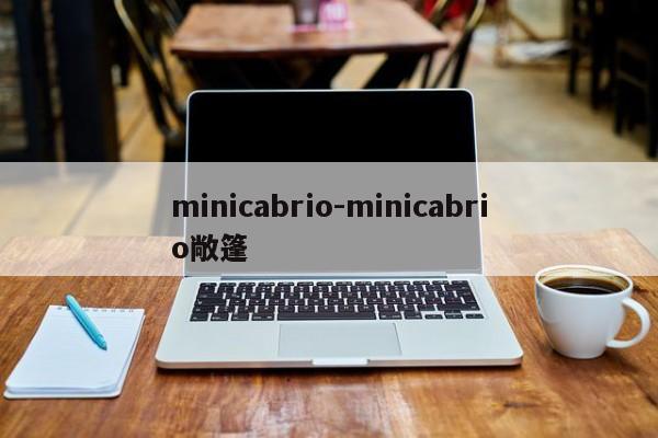 minicabrio-minicabrio敞篷