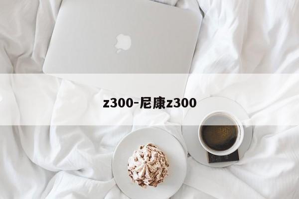 z300-尼康z(mì)300