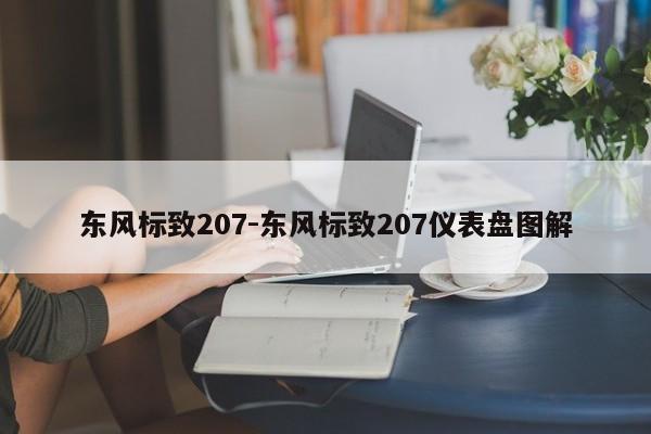 東風標致207-東風標致207儀表盤圖解