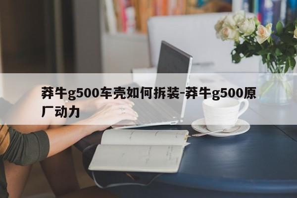 莽牛g500車殼如何拆裝-莽牛g500原廠動力