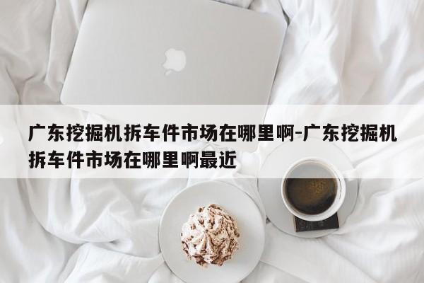 廣東挖掘機拆車件市場在哪里啊-廣東挖掘機拆車件市場在哪里啊最近