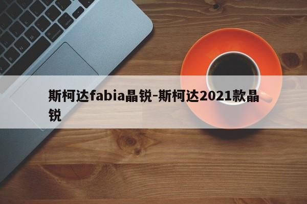 斯柯達(dá)fabia晶銳-斯柯達(dá)2021款晶銳