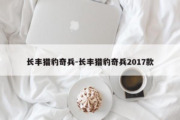 長(zhǎng)豐獵豹奇兵-長(zhǎng)豐獵豹奇兵2017款