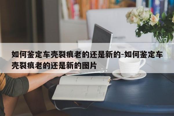 如何鑒定車殼裂痕老的還是新的-如何鑒定車殼裂痕老的還是新的圖片