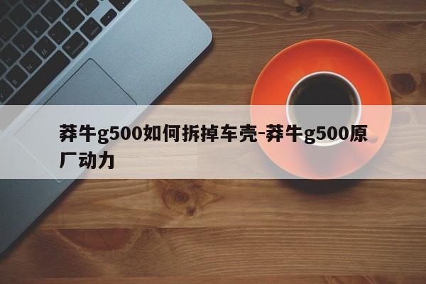 莽牛g500如何拆掉車殼-莽牛g500原廠動力