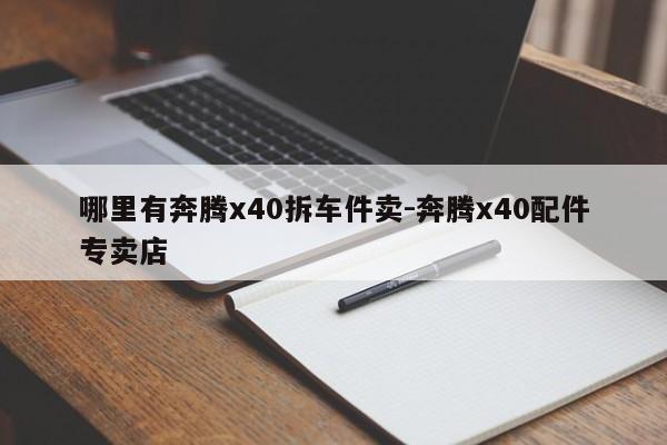 哪里有奔騰x40拆車件賣-奔騰x40配件專賣店