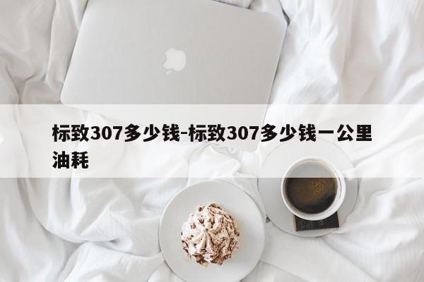 標(biāo)致307多少錢-標(biāo)致307多少錢一公里油耗